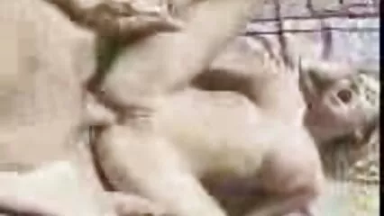 سیاہ فام عورت الکسیس فیلم سوپر لڑائی جھگڑے کے بجائے مشت زنی کرتی ہے۔
