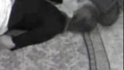 چار آنکھوں والی عورت ویب کیم کے سامنے سکس الکسیس تگزاس مشت زنی کرتی ہے۔