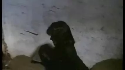 ہاہل سوپر خاله الکسیس خوبصورتی سے ایک لڑکی کو بیڈ پر چودتی ہے۔