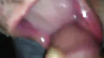 اپارٹمنٹ میں فیلم های الکسیس جدید لایا اور چوزے کو بلی میں پھاڑ دیا۔